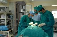 Operation Theatre