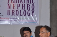 Update in Pediatric Nephrourology