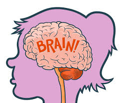 brain-1