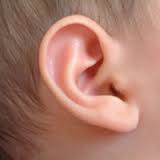 ear