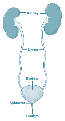 mitrofanoff-procedure-1