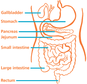 oesophagoscopy-and-gastroscopy-1