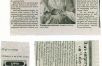 in-the-press-68.jpg