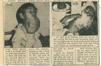 in-the-press-74.jpg